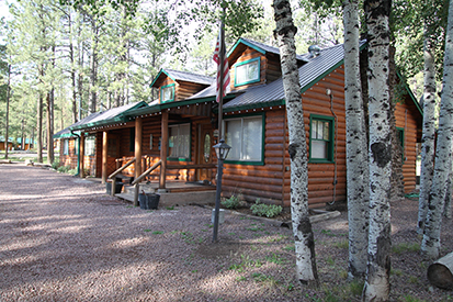 Big 10 Lodge Cabin